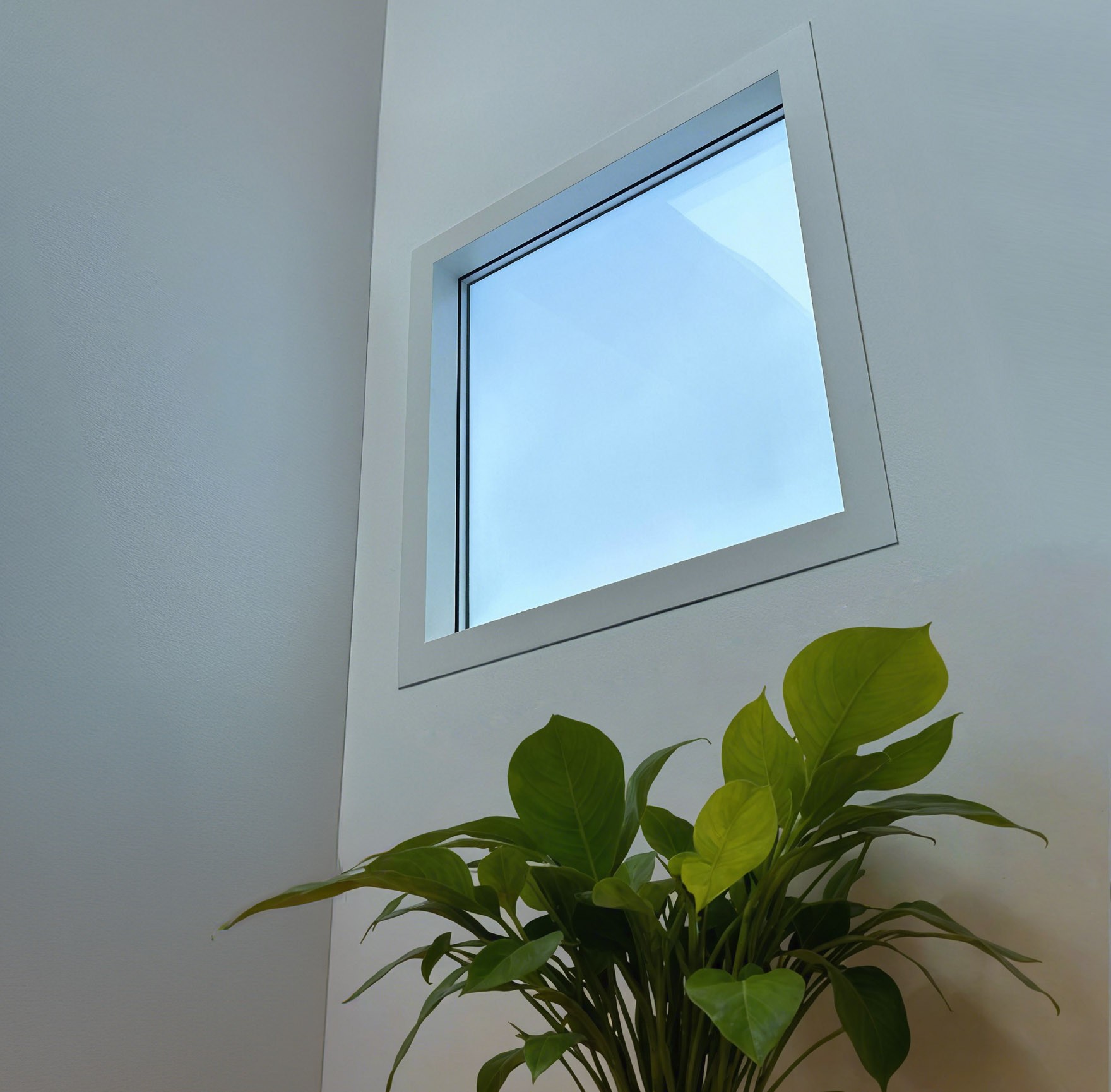 Circadian Sky 2x2 artificial skylight Wall Installation in office setting